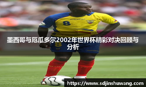 墨西哥与厄瓜多尔2002年世界杯精彩对决回顾与分析